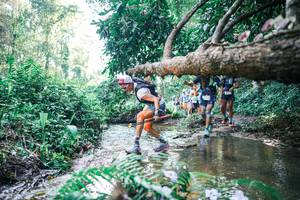 BIB: 
                            <button type="button" onclick="openModal(25449055)" class="btn btn-primary btn-sm float-right btn-popup" data-toggle="modal" data-target=".modal-high-quality">
                        <i class="fas fa-shopping-cart"></i> Add to Cart
                    </button>
                                            <button type="button" onclick="isThisMe(25449055, true)" class="btn btn-success btn-sm float-right btn-popup btn-isme hidden" data-toggle="tooltip" data-placement="bottom" title="นี่คือรูปของคุณใช่ไหม คลิกที่นี่เพื่อเอาเข้าอัลบั้ม">
                        <i class="fas fa-plus"></i> Add to album
                    </button>
                    <button type="button" onclick="isThisMe(25449055, false)" class="btn btn-warning btn-sm float-right btn-popup btn-isnotme hidden">
                        <i class="fas fa-ban"></i> Remove from album
                    </button>